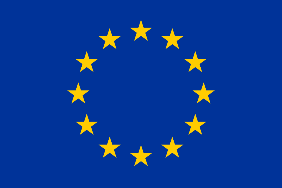 Botschaft der Europäischen Union Logo